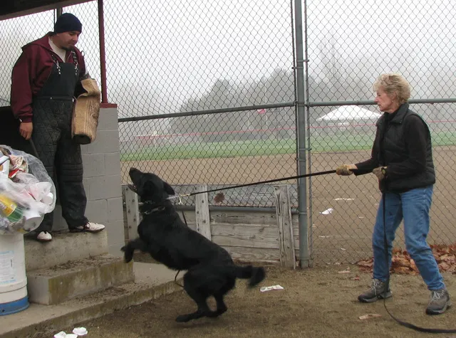 José Lopez Schutzhund Seminar — November 2008 — working-dog seminar photo 013
