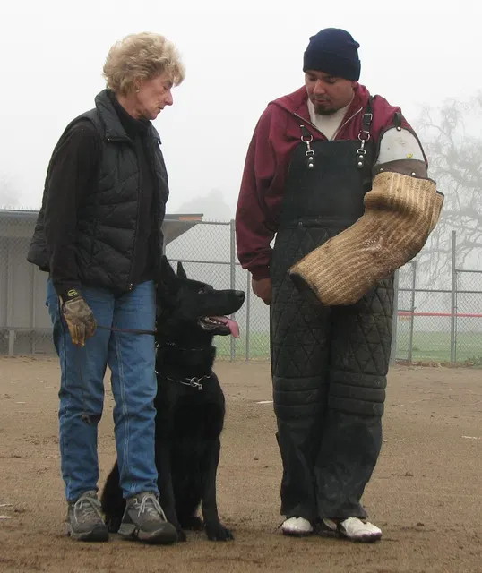 José Lopez Schutzhund Seminar — November 2008 — working-dog seminar photo 014