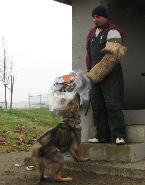 José Lopez Schutzhund Seminar — November 2008 — working-dog seminar photo 016
