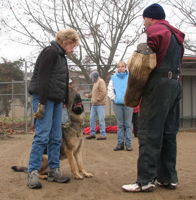 José Lopez Schutzhund Seminar — November 2008 — working-dog seminar photo 017