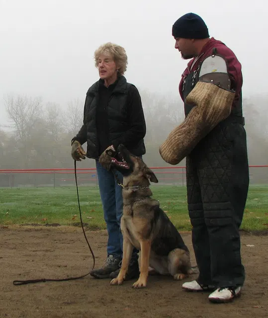 José Lopez Schutzhund Seminar — November 2008 — working-dog seminar photo 019