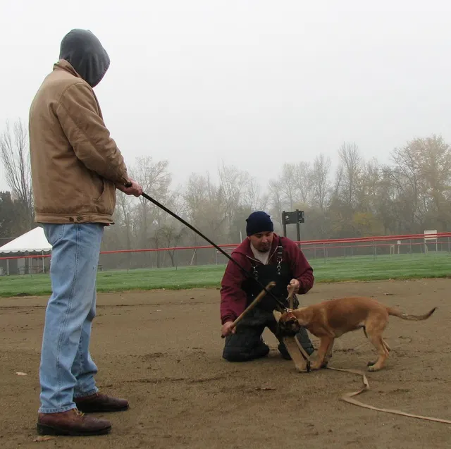 José Lopez Schutzhund Seminar — November 2008 — working-dog seminar photo 020