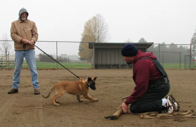 José Lopez Schutzhund Seminar — November 2008 — working-dog seminar photo 021