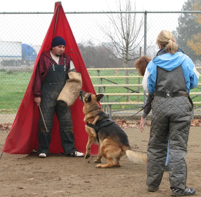 José Lopez Schutzhund Seminar — November 2008 — working-dog seminar photo 022