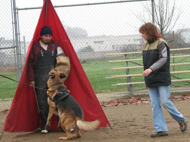 José Lopez Schutzhund Seminar — November 2008 — working-dog seminar photo 023