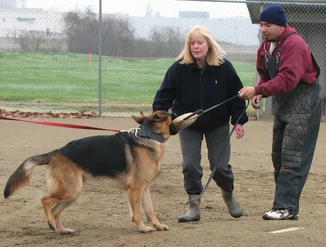 José Lopez Schutzhund Seminar — November 2008 — working-dog seminar photo 025