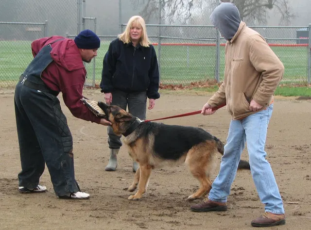 José Lopez Schutzhund Seminar — November 2008 — working-dog seminar photo 027