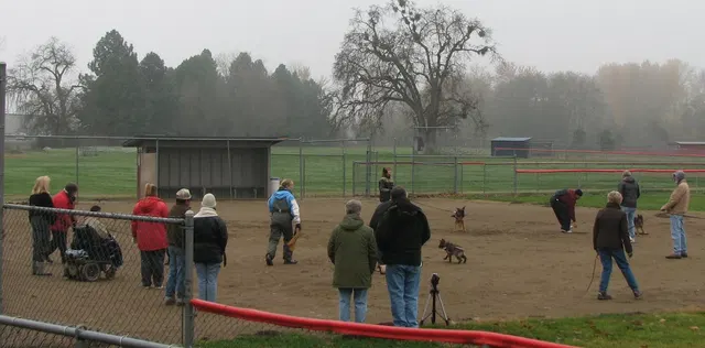 José Lopez Schutzhund Seminar — November 2008 — working-dog seminar photo 030