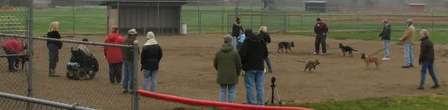 José Lopez Schutzhund Seminar — November 2008 — working-dog seminar photo 031