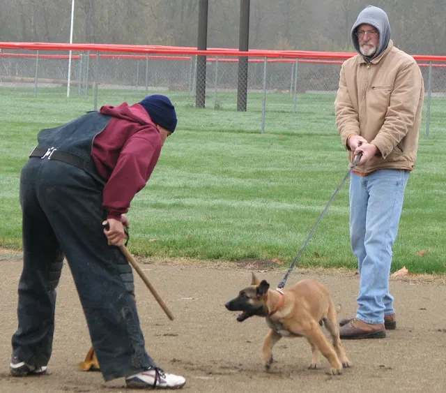 José Lopez Schutzhund Seminar — November 2008 — working-dog seminar photo 032