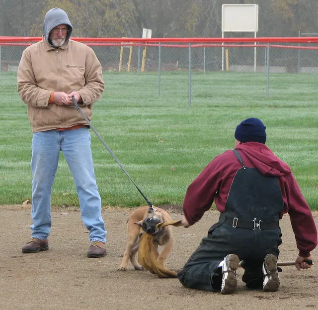 José Lopez Schutzhund Seminar — November 2008 — working-dog seminar photo 033