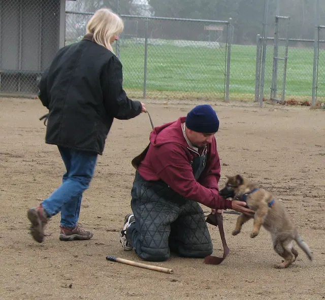 José Lopez Schutzhund Seminar — November 2008 — working-dog seminar photo 034