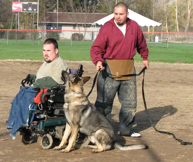 José Lopez Schutzhund Seminar — November 2008 — working-dog seminar photo 037
