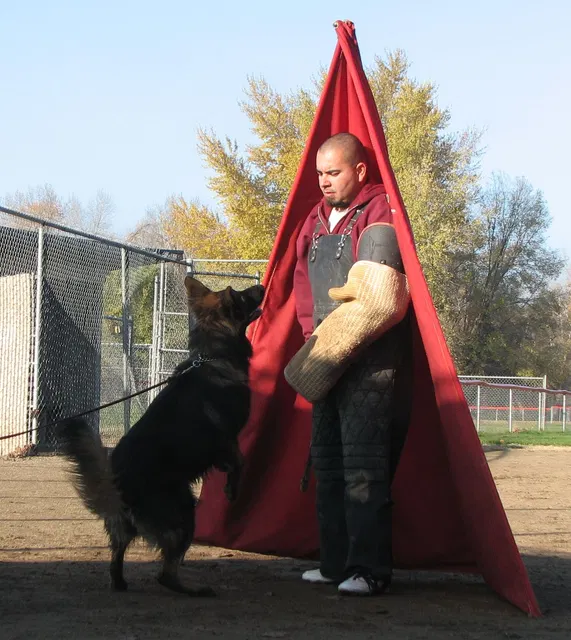 José Lopez Schutzhund Seminar — November 2008 — working-dog seminar photo 038