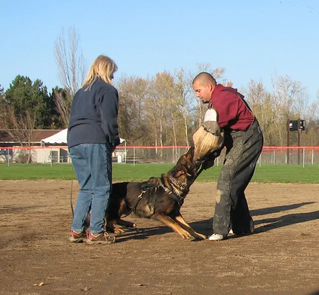 José Lopez Schutzhund Seminar — November 2008 — working-dog seminar photo 040