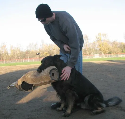 José Lopez Schutzhund Seminar — November 2008 — working-dog seminar photo 041