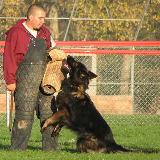 José Lopez Schutzhund Seminar — November 2008 historical working-dog archive
