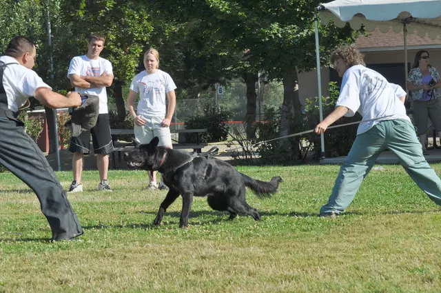 José Lopez Schutzhund Seminar — July 2009 — working-dog seminar photo 002