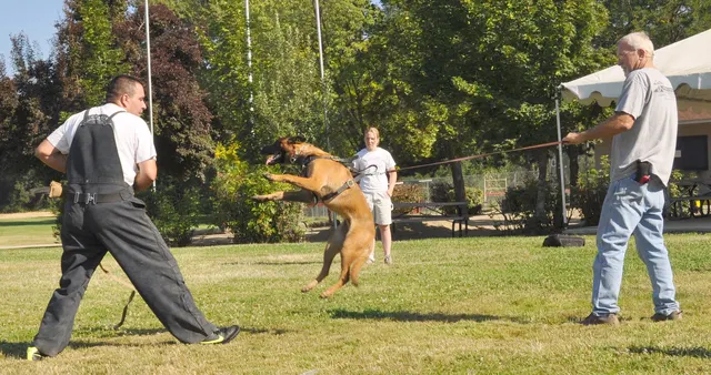 José Lopez Schutzhund Seminar — July 2009 — working-dog seminar photo 003