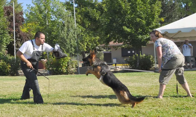 José Lopez Schutzhund Seminar — July 2009 — working-dog seminar photo 004