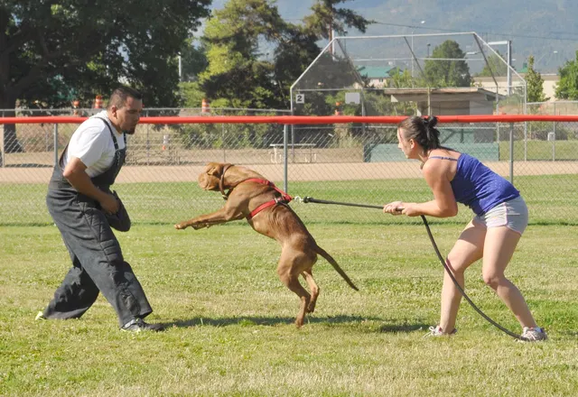José Lopez Schutzhund Seminar — July 2009 — working-dog seminar photo 005