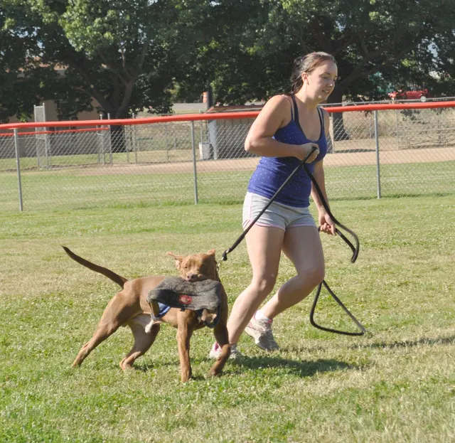 José Lopez Schutzhund Seminar — July 2009 — working-dog seminar photo 006