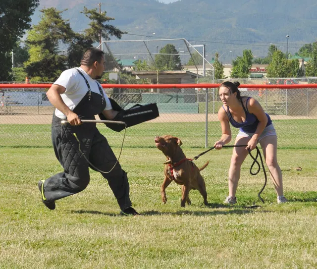 José Lopez Schutzhund Seminar — July 2009 — working-dog seminar photo 007