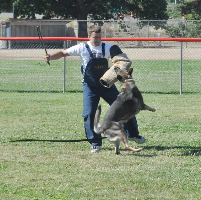 José Lopez Schutzhund Seminar — July 2009 — working-dog seminar photo 009