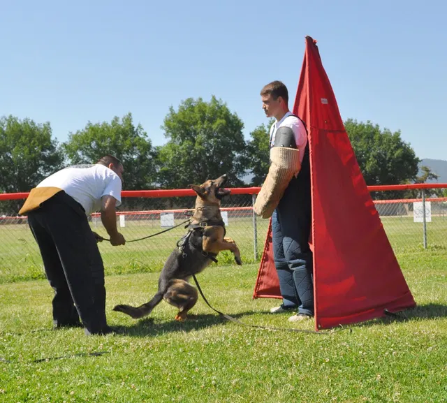 José Lopez Schutzhund Seminar — July 2009 historical working-dog archive