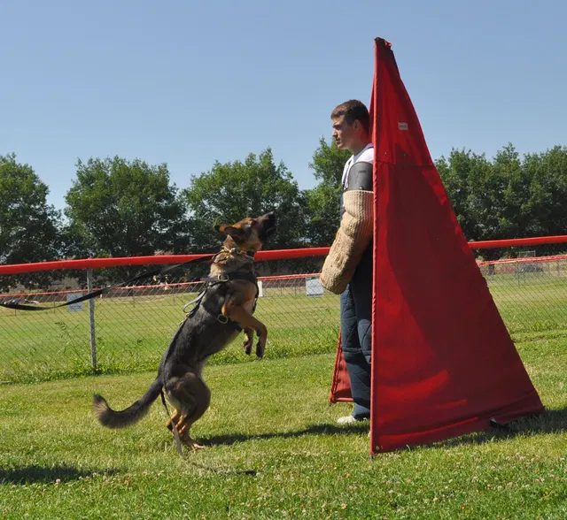 José Lopez Schutzhund Seminar — July 2009 — working-dog seminar photo 011
