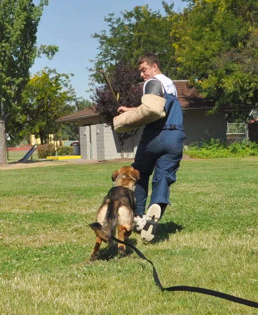 José Lopez Schutzhund Seminar — July 2009 — working-dog seminar photo 013