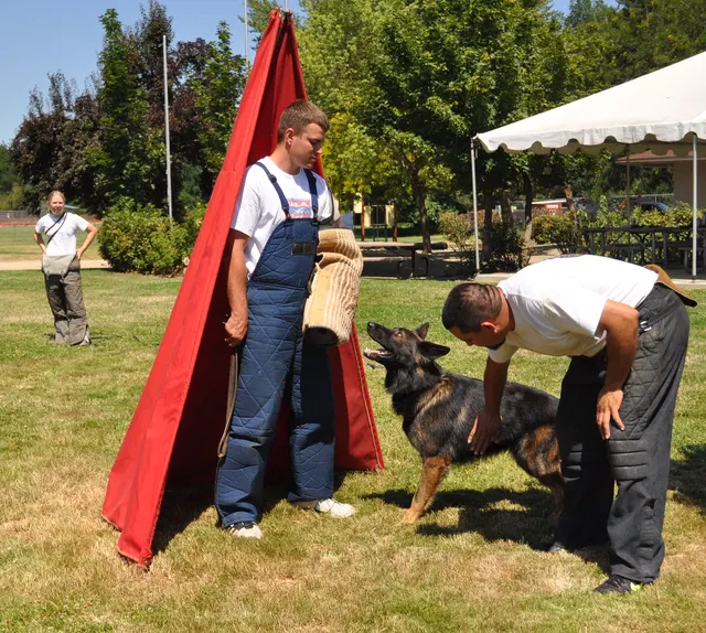 José Lopez Schutzhund Seminar — July 2009 — working-dog seminar photo 014