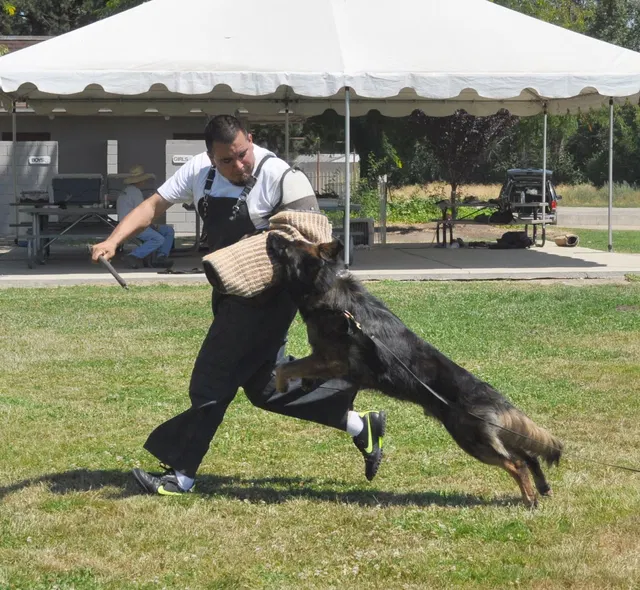 José Lopez Schutzhund Seminar — July 2009 — working-dog seminar photo 016