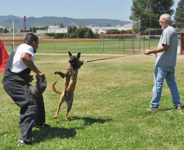 José Lopez Schutzhund Seminar — July 2009 — working-dog seminar photo 017