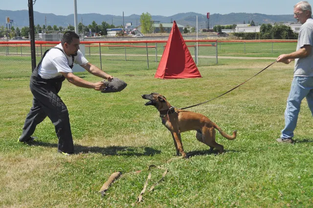 José Lopez Schutzhund Seminar — July 2009 — working-dog seminar photo 018