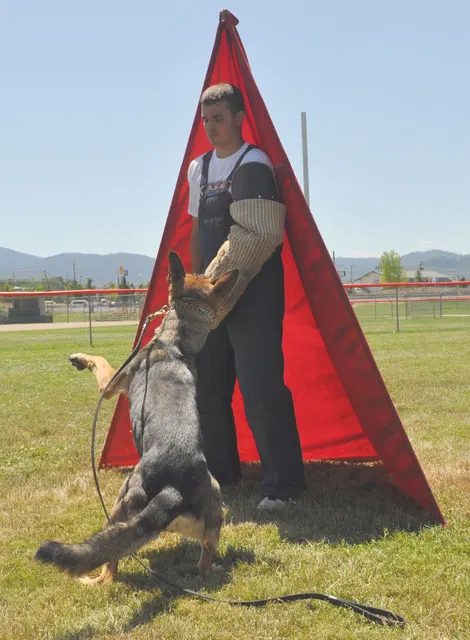 José Lopez Schutzhund Seminar — July 2009 — working-dog seminar photo 019