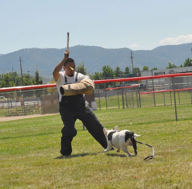 José Lopez Schutzhund Seminar — July 2009 — working-dog seminar photo 020
