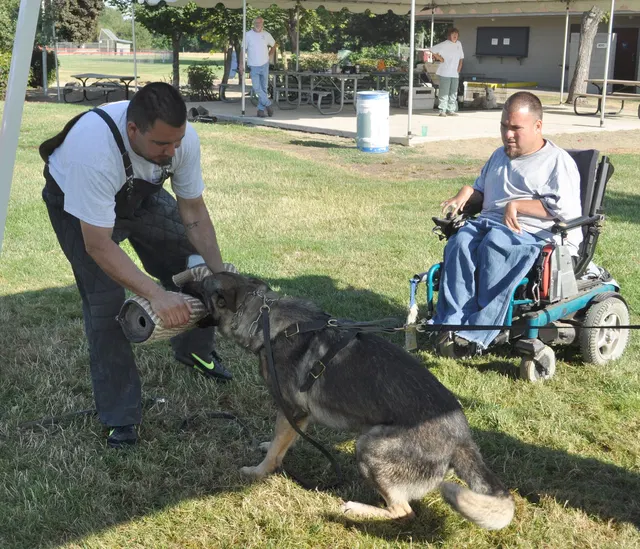 José Lopez Schutzhund Seminar — July 2009 — working-dog seminar photo 022