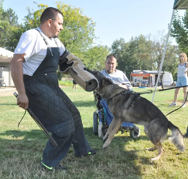 José Lopez Schutzhund Seminar — July 2009 — working-dog seminar photo 023
