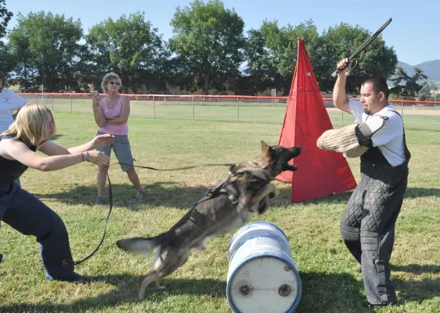 José Lopez Schutzhund Seminar — July 2009 — working-dog seminar photo 024