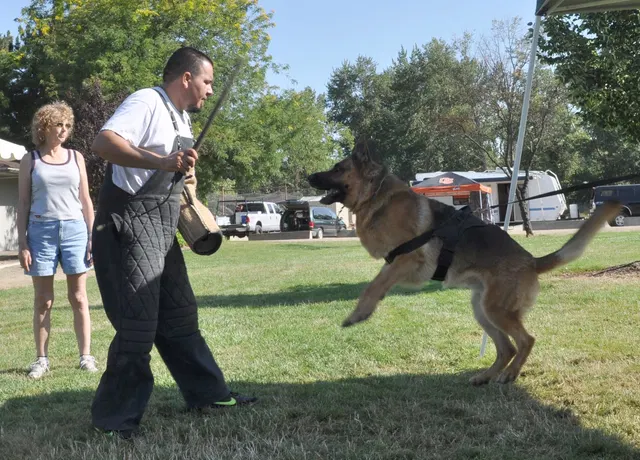 José Lopez Schutzhund Seminar — July 2009 — working-dog seminar photo 025