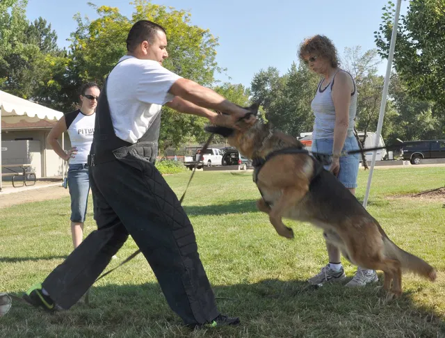 José Lopez Schutzhund Seminar — July 2009 — working-dog seminar photo 026