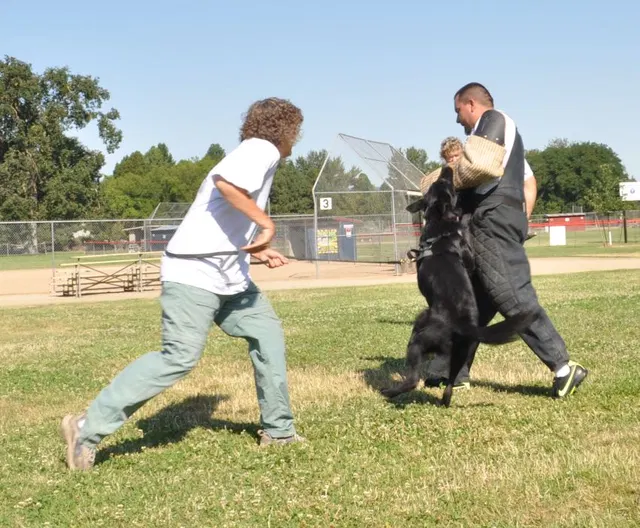 José Lopez Schutzhund Seminar — July 2009 — working-dog seminar photo 027