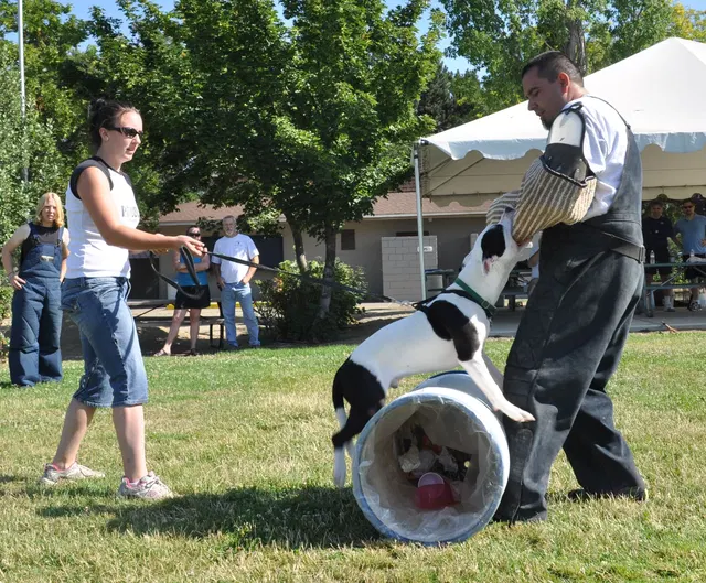 José Lopez Schutzhund Seminar — July 2009 — working-dog seminar photo 028