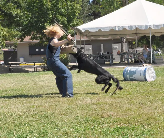 José Lopez Schutzhund Seminar — July 2009 — working-dog seminar photo 029