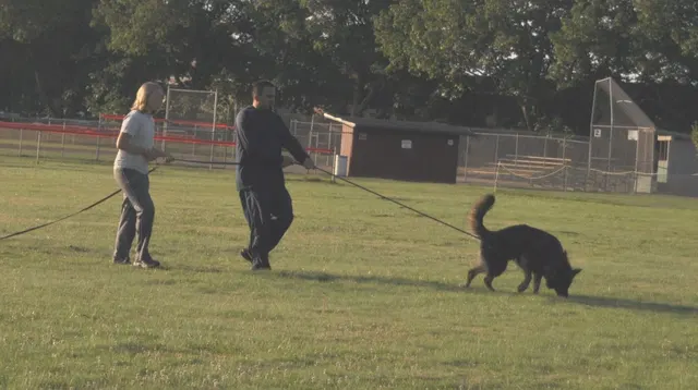 José Lopez Schutzhund Seminar — July 2009 — working-dog seminar photo 030