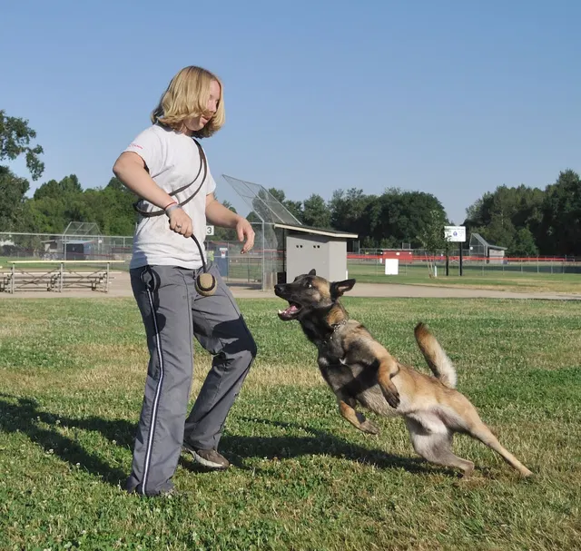 José Lopez Schutzhund Seminar — July 2009 — working-dog seminar photo 031