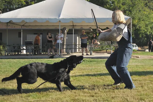 José Lopez Schutzhund Seminar — July 2009 — working-dog seminar photo 033