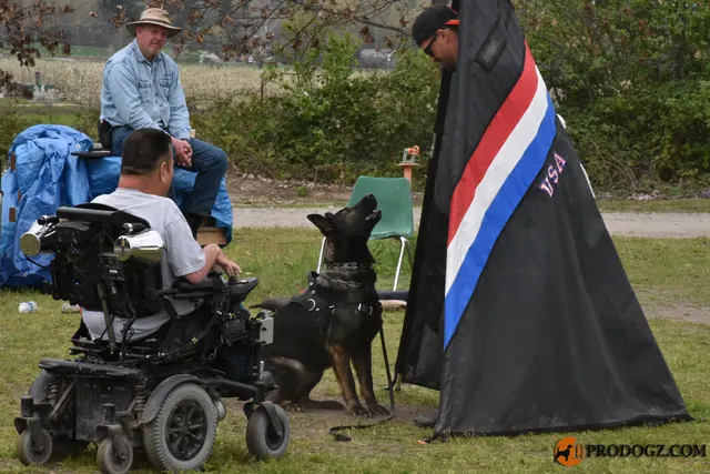 Kyle Krotter Schutzhund seminar on April 14, 2018 — handler teamwork with a black working dog near the blind — photo 27