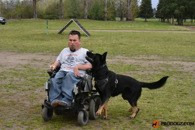 Kyle Krotter Schutzhund seminar on April 14, 2018 — a black working dog and handler receiving field-side coaching — photo 23